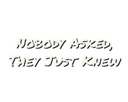 265 v12 N247 Nobody Asked They Just Knew